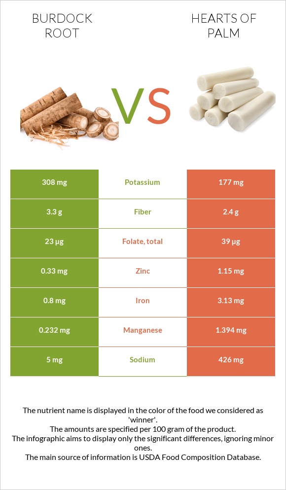 Burdock root vs Hearts of palm infographic