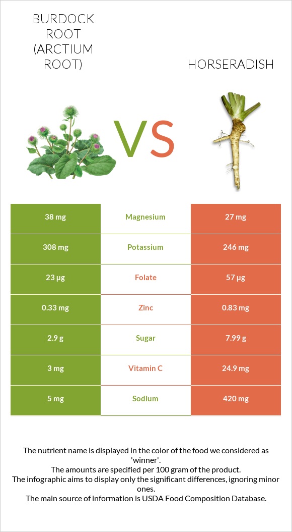 Burdock root vs Horseradish infographic