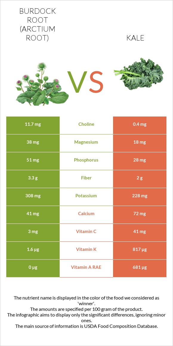 Կռատուկի արմատ (արկտի արմատ) vs Kale infographic
