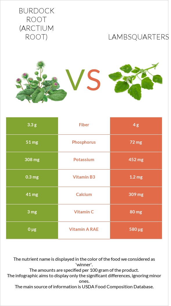 Burdock root vs Lambsquarters infographic