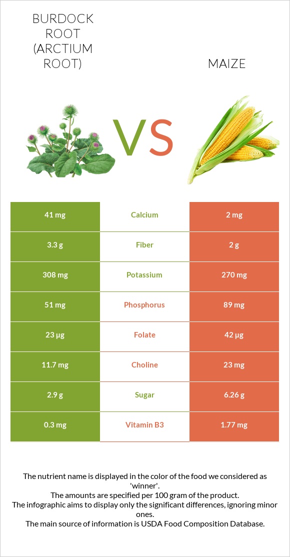Burdock root vs Corn infographic