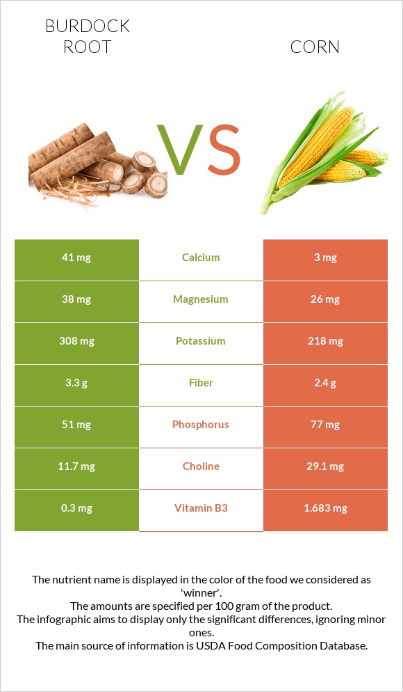 Կռատուկի արմատ (արկտի արմատ) vs Եգիպտացորեն infographic