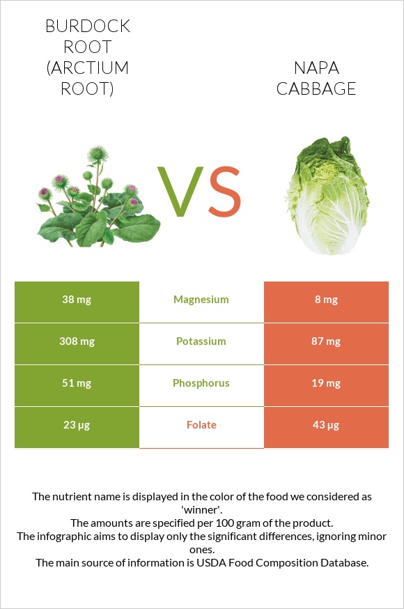 Burdock root vs Napa cabbage infographic