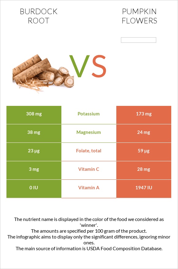 Կռատուկի արմատ (արկտի արմատ) vs Pumpkin flowers infographic