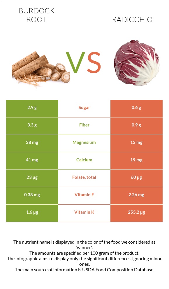 Burdock root vs Radicchio infographic