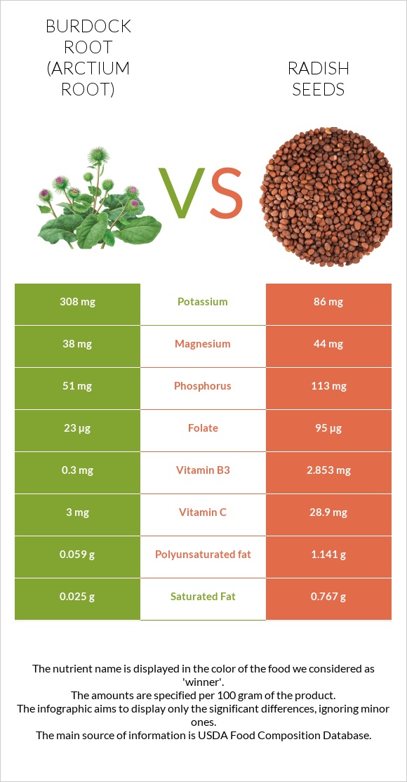 Կռատուկի արմատ (արկտի արմատ) vs Radish seeds infographic