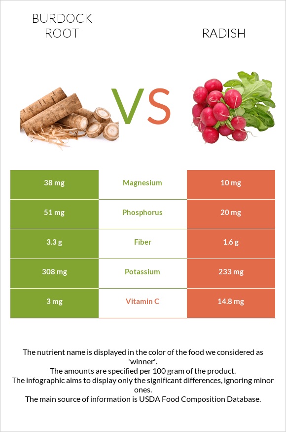 Burdock root vs Radish infographic