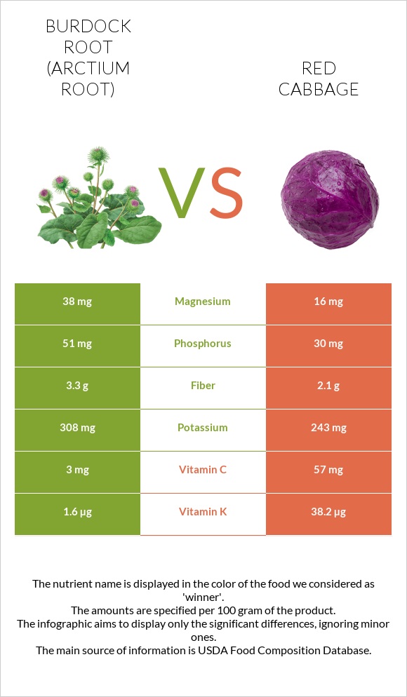 Burdock root vs Red cabbage infographic