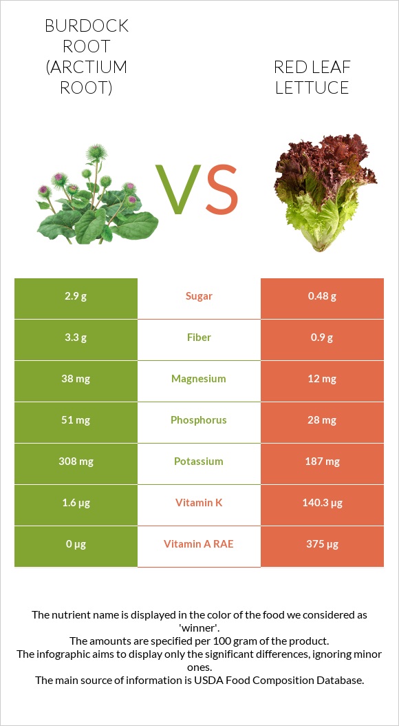 Կռատուկի արմատ (արկտի արմատ) vs Red leaf lettuce infographic