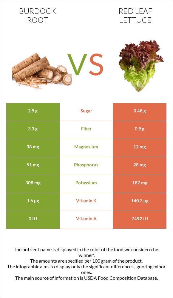 Burdock root vs Red leaf lettuce infographic