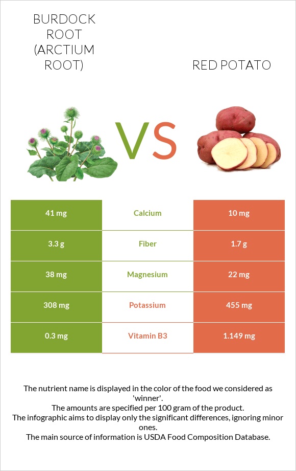Կռատուկի արմատ (արկտի արմատ) vs Red potato infographic