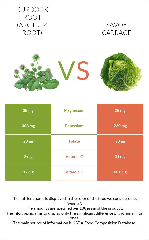 Burdock root vs Savoy cabbage infographic