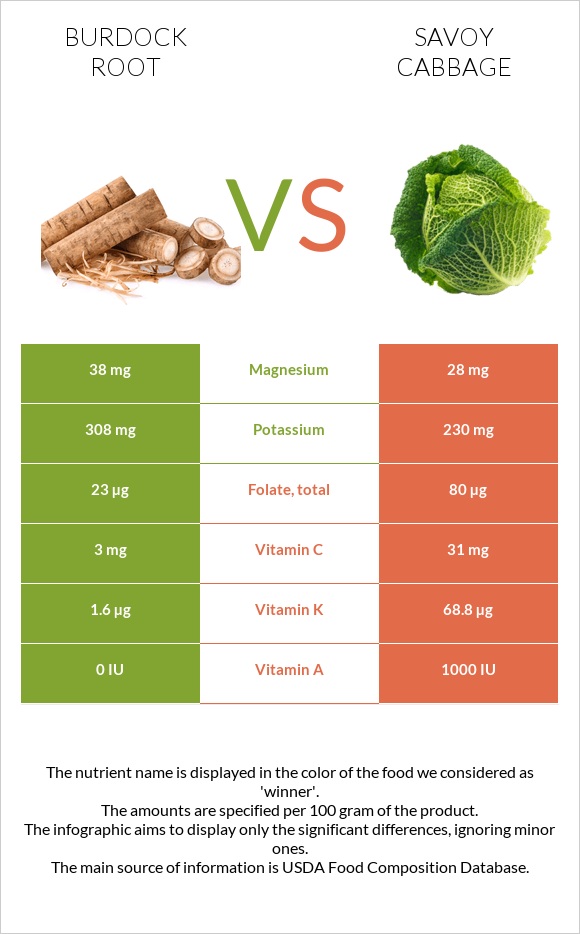 Burdock root vs Savoy cabbage infographic