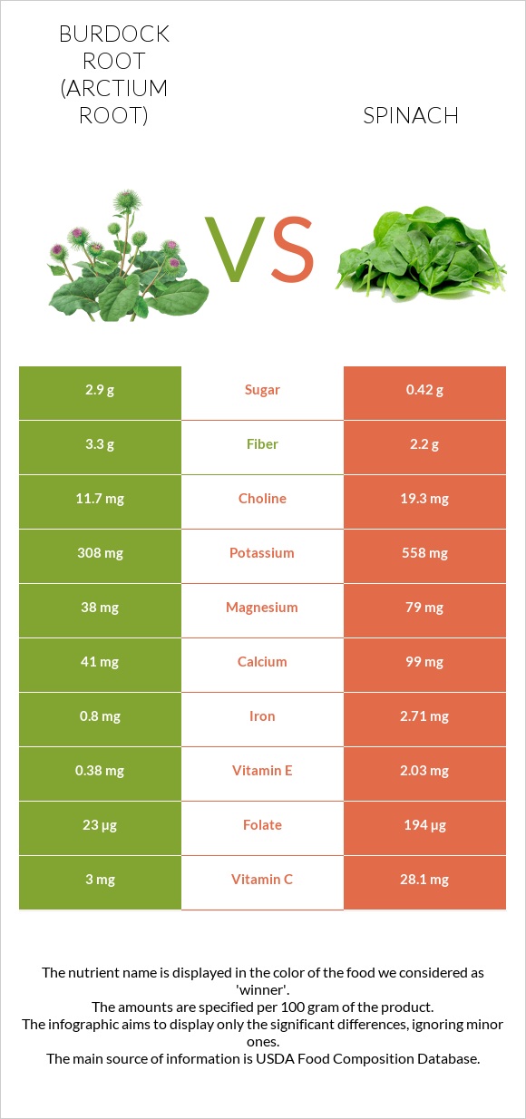 Burdock root vs Spinach infographic