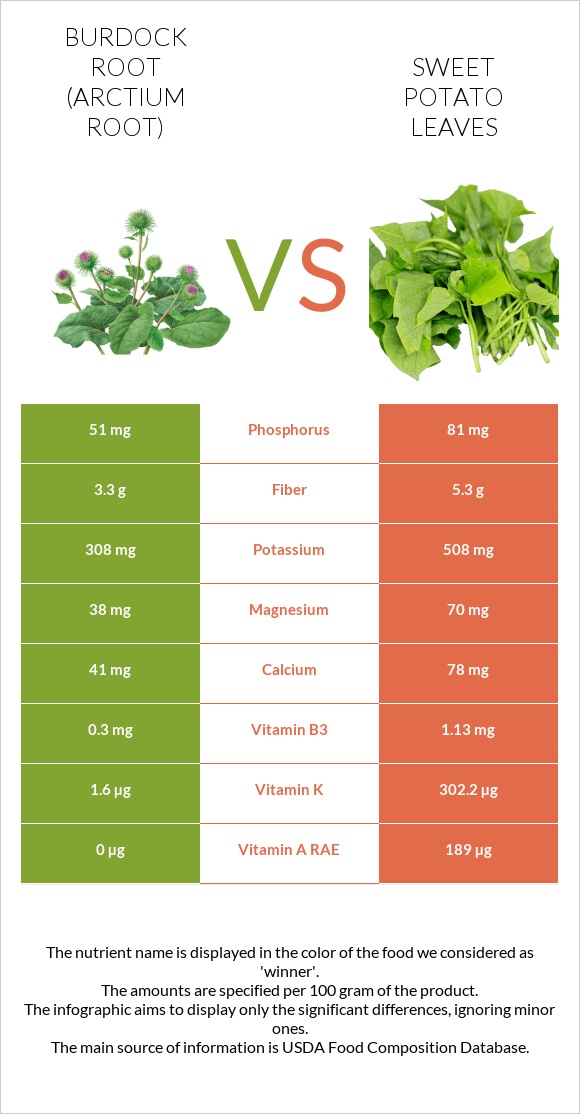 Կռատուկի արմատ (արկտի արմատ) vs Sweet potato leaves infographic