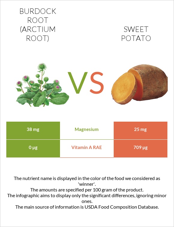 Burdock root vs Sweet potato infographic