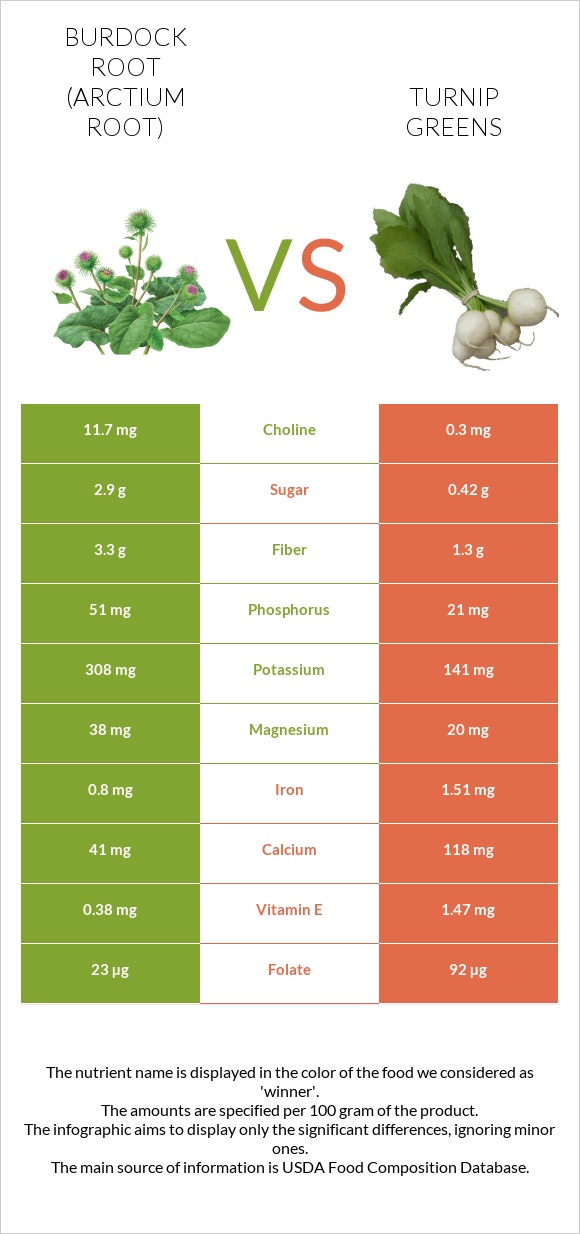 Կռատուկի արմատ (արկտի արմատ) vs Turnip greens infographic