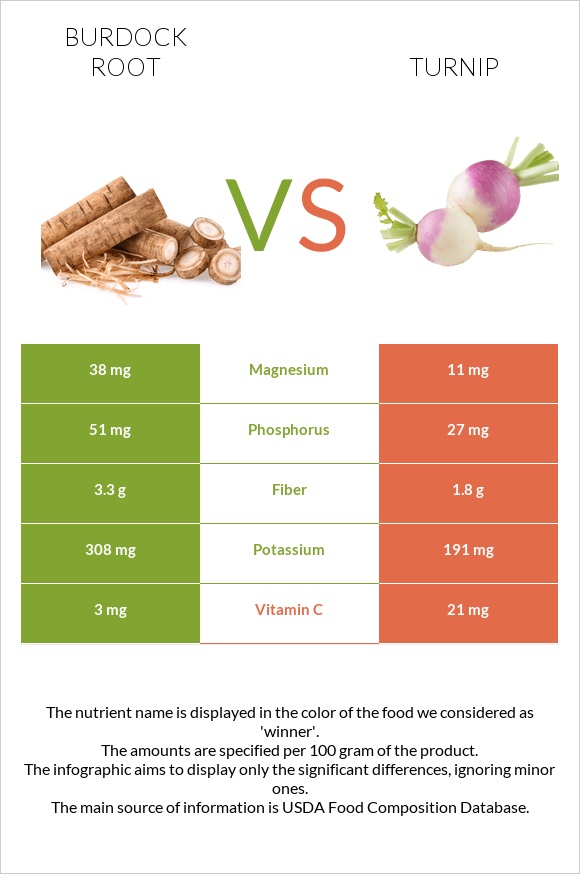 Կռատուկի արմատ (արկտի արմատ) vs Շաղգամ infographic