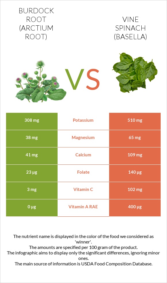 Կռատուկի արմատ (արկտի արմատ) vs Vine spinach (basella) infographic