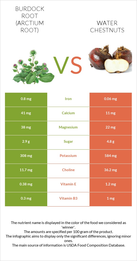 Burdock root vs Water chestnuts infographic
