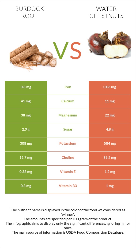 Կռատուկի արմատ (արկտի արմատ) vs Water chestnuts infographic