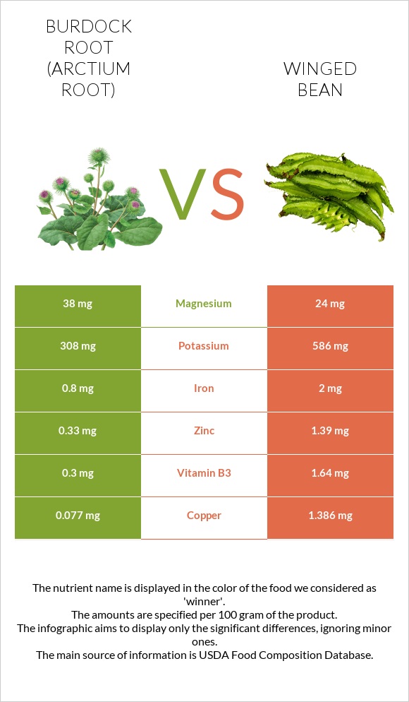 Burdock root vs Winged bean infographic