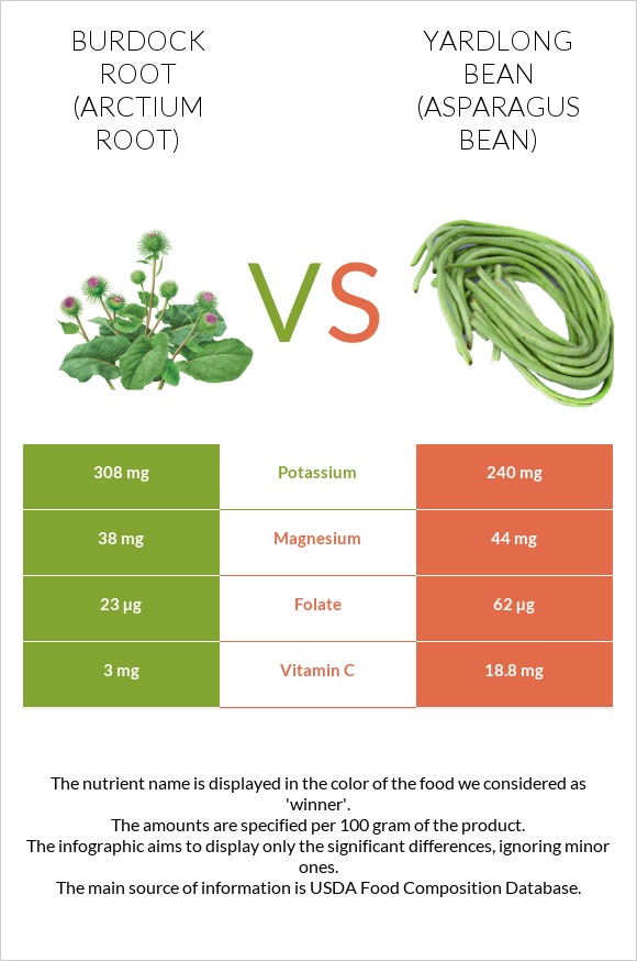 Burdock root vs Yardlong bean (Asparagus bean) infographic
