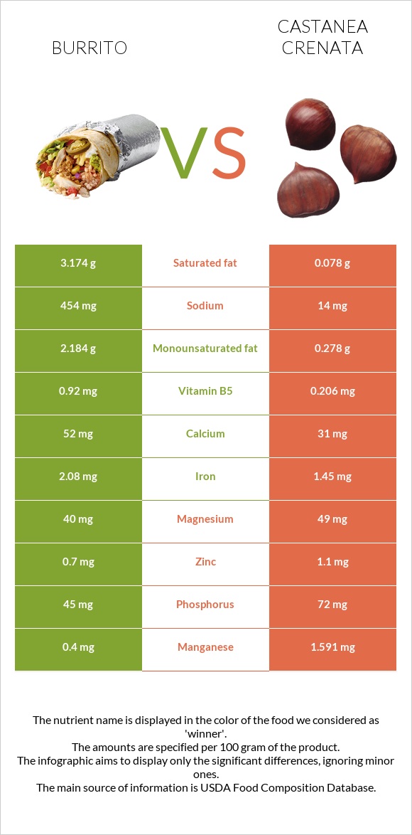 Burrito vs Castanea crenata infographic