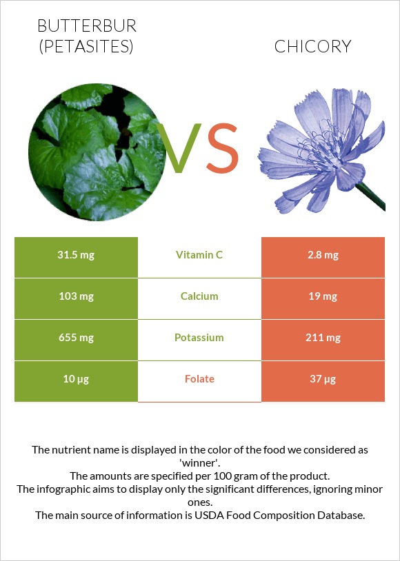 Butterbur vs Chicory infographic