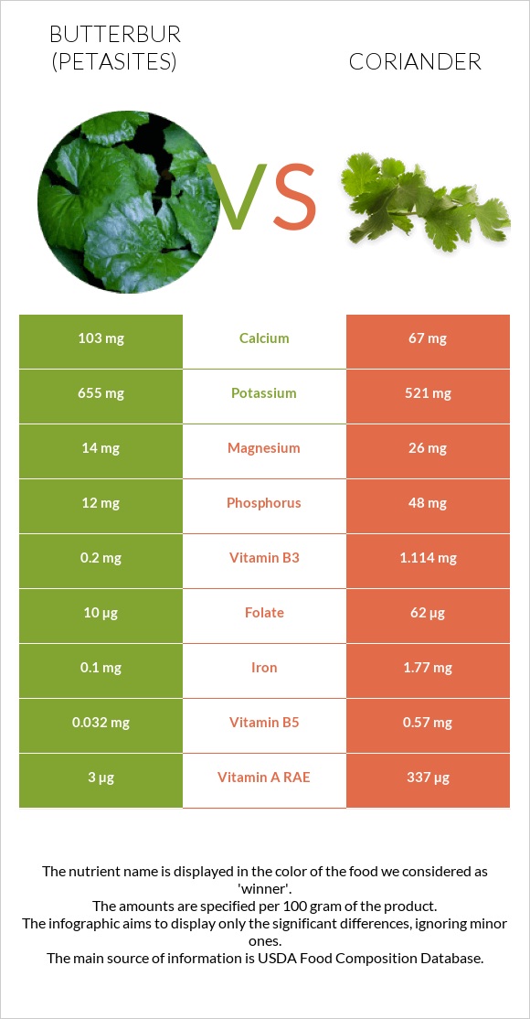 Butterbur vs Coriander infographic