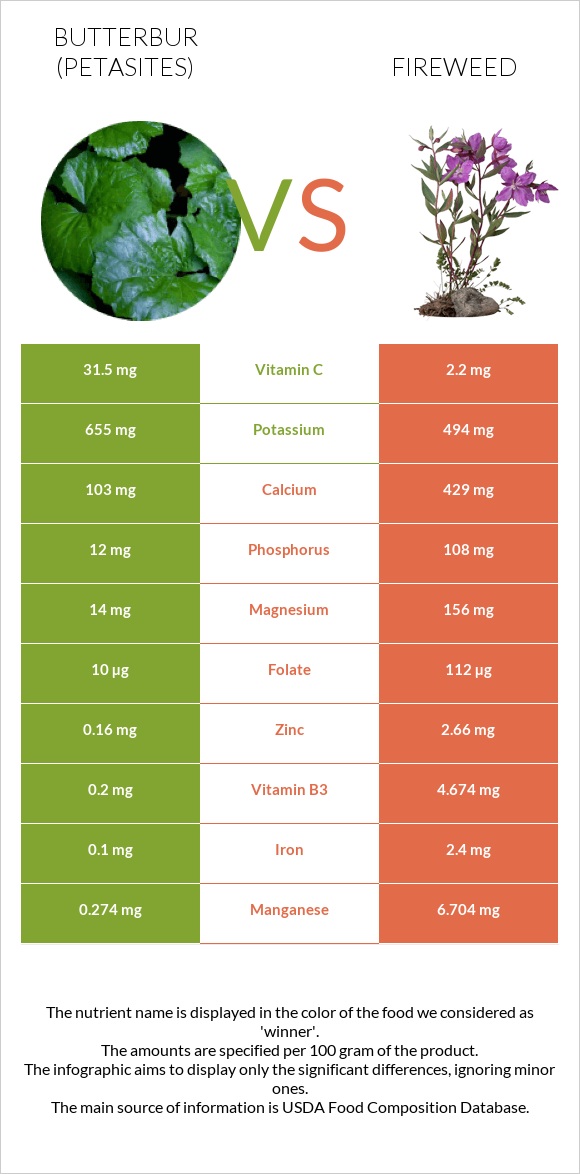 Butterbur vs Fireweed infographic