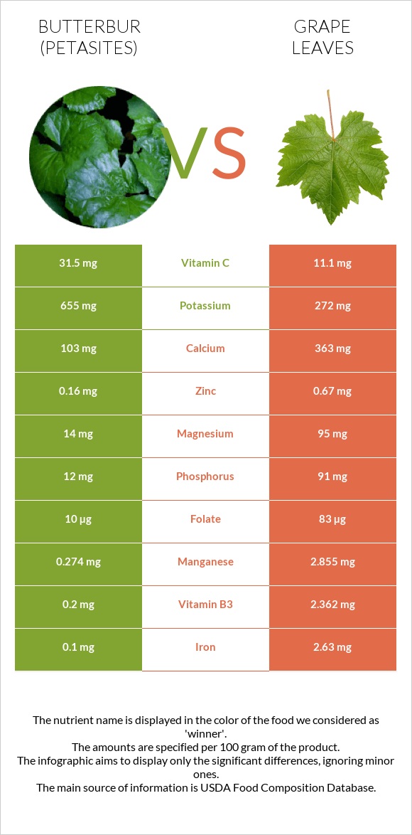 Butterbur vs Grape leaves infographic