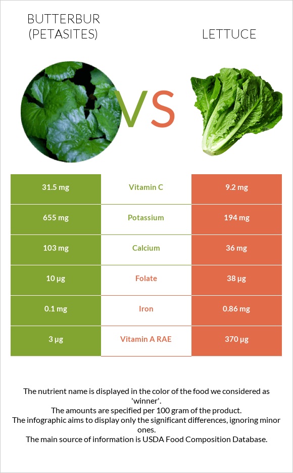 Butterbur vs Lettuce infographic