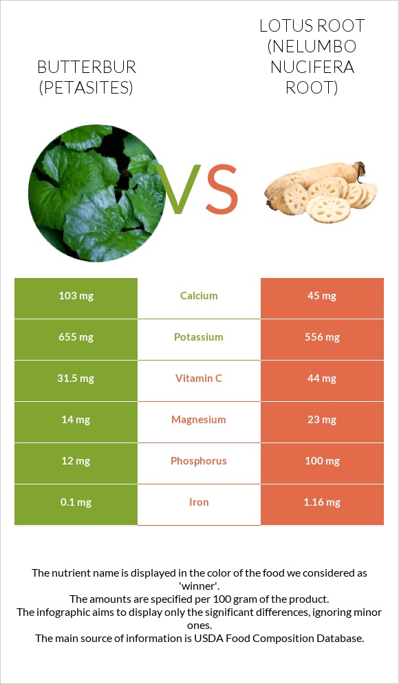 Butterbur vs Lotus root infographic
