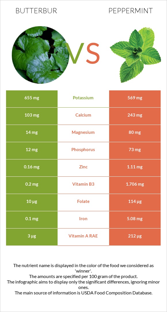 Butterbur vs Անանուխ infographic