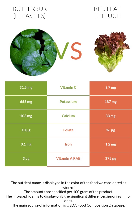 Butterbur vs Red leaf lettuce infographic
