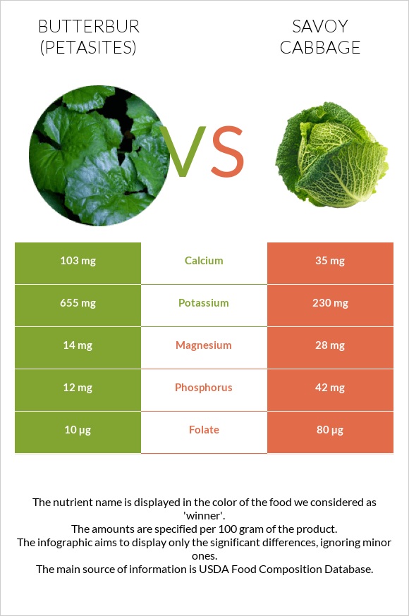 Butterbur vs Savoy cabbage infographic