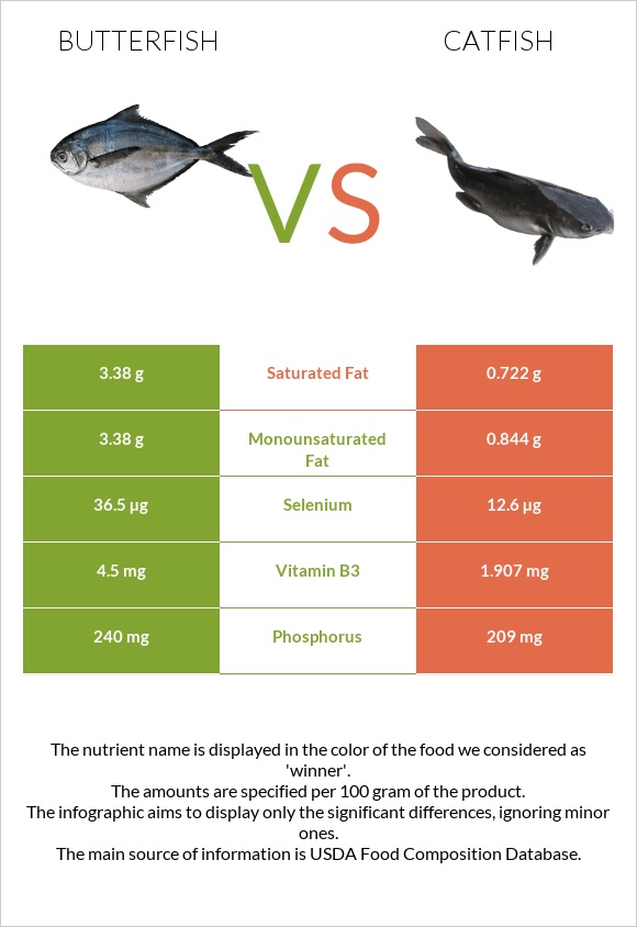 Butterfish vs Catfish infographic
