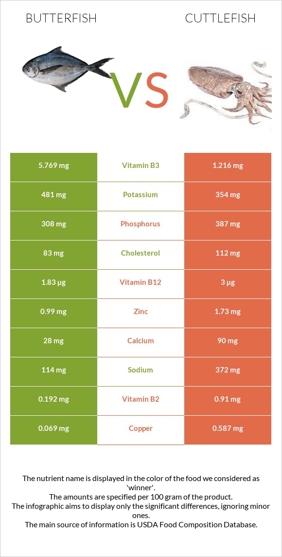 Butterfish vs Cuttlefish infographic