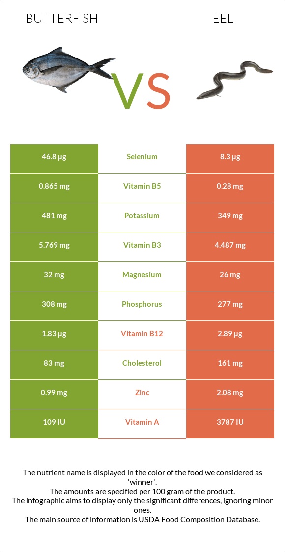 Butterfish vs Eel infographic