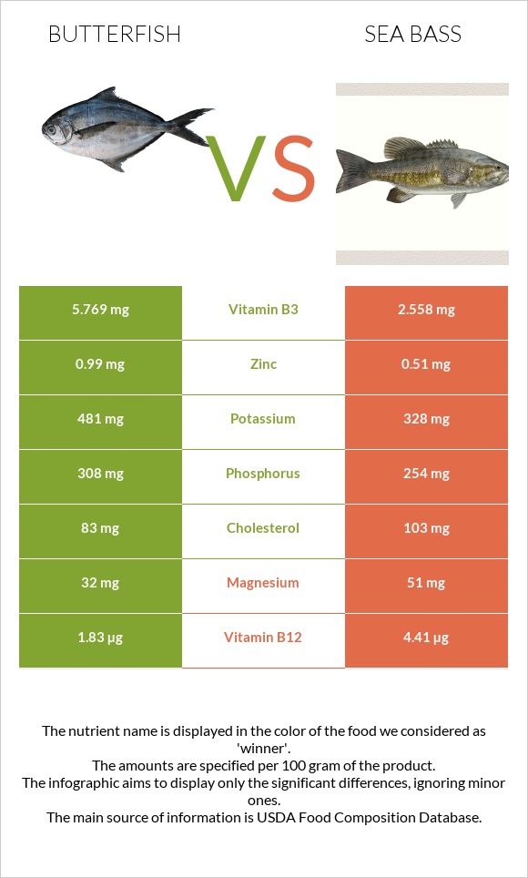 Butterfish vs Bass infographic