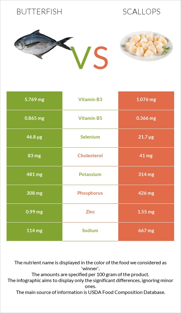 Butterfish vs Scallop infographic