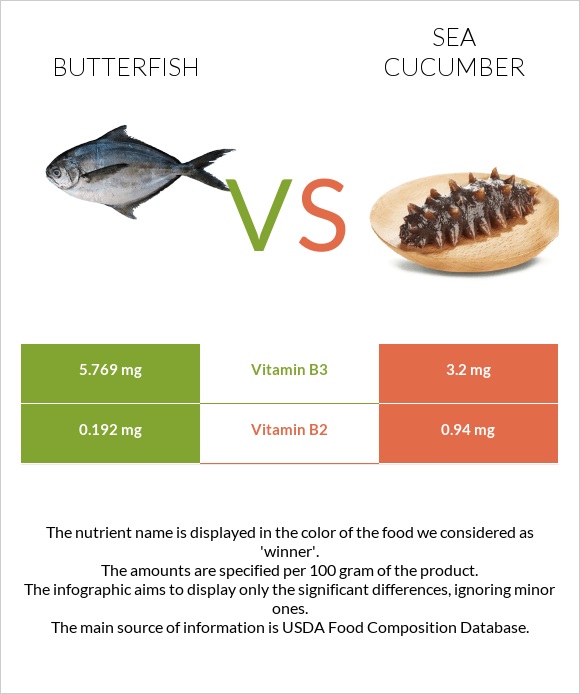 Butterfish vs Sea cucumber infographic