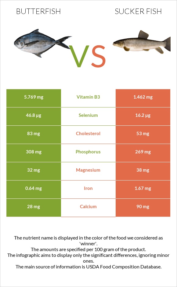 Butterfish vs Sucker fish infographic