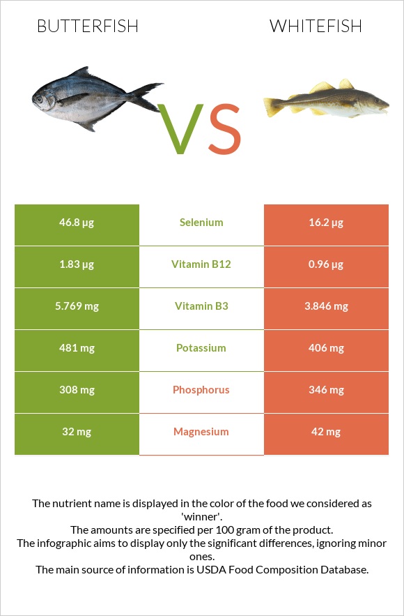 Butterfish vs Whitefish infographic