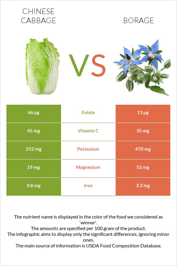 Chinese cabbage vs Borage infographic