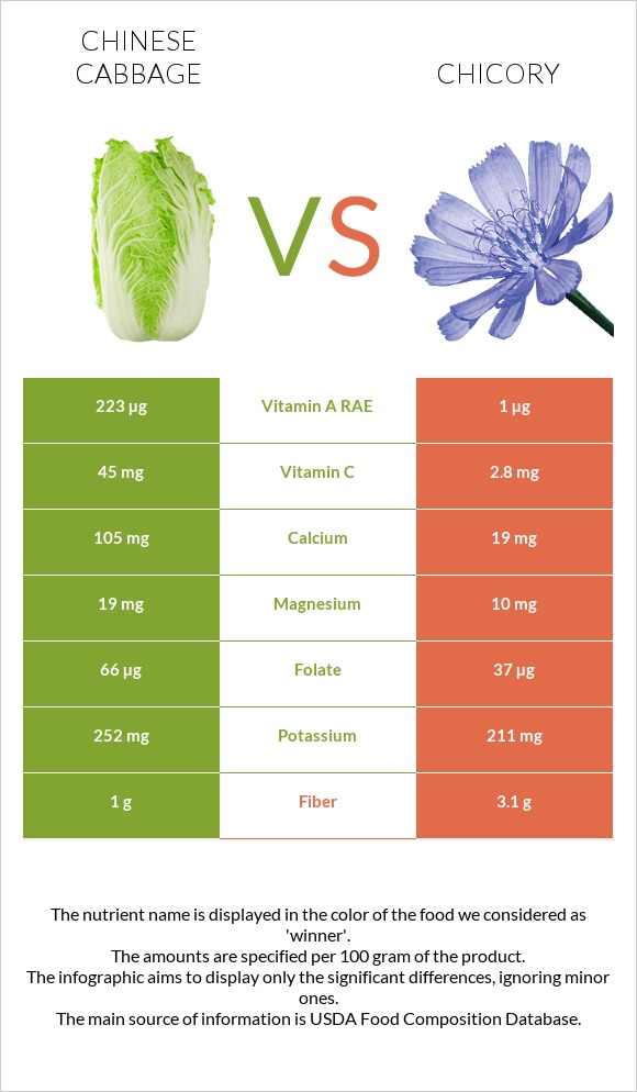 Chinese cabbage vs Chicory infographic