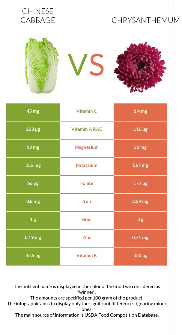 Chinese cabbage vs Chrysanthemum infographic