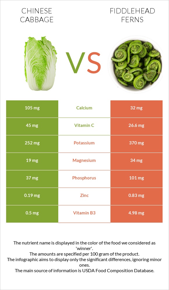 Chinese cabbage vs Fiddlehead ferns infographic
