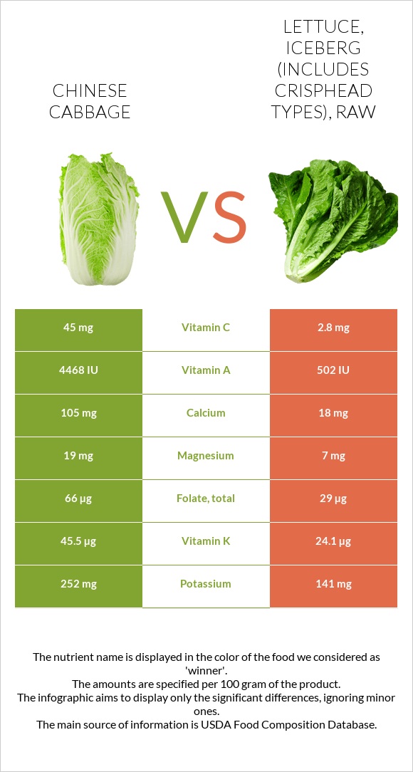 Chinese cabbage vs Lettuce, iceberg (includes crisphead types), raw infographic